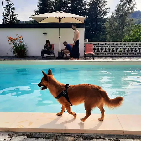 Apartmán Casamargo