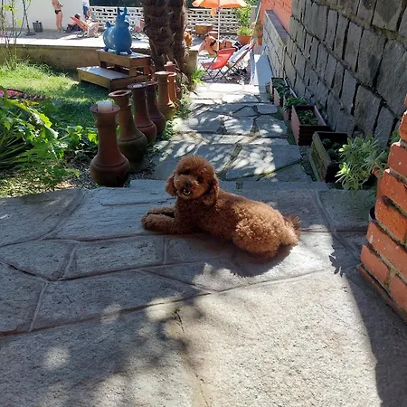 Lägenhet Casamargo Castellamonte