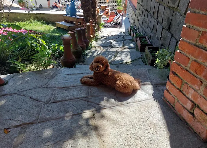 Daire Casamargo Castellamonte